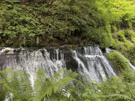 滝 滝 軽井沢,観光,観光スポットの写真素材