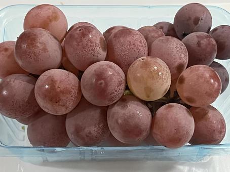 ぶどう 安芸クイーン ぶどう 安芸クイーン ぶどう,果物,グレープの写真素材