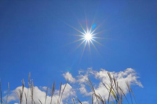 太陽　青空　雲　ススキの写真