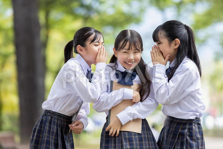 制服を着た笑顔の女子学生 仲良し,楽しい,制服の写真素材
