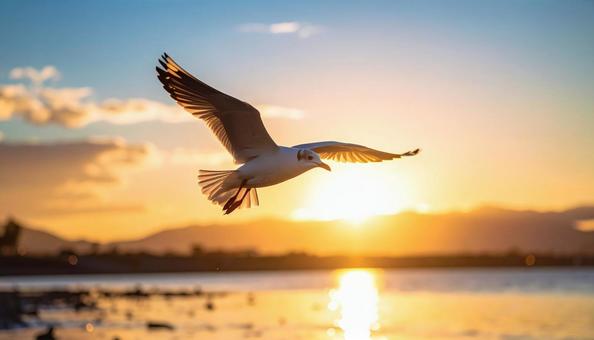 夕焼けの中を飛ぶ鳥 夕焼けの中を飛ぶ鳥の写真