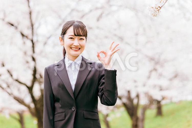 満開の桜の下にいるスーツ姿の新社会人 フレッシャーズ,桜,新卒の写真素材