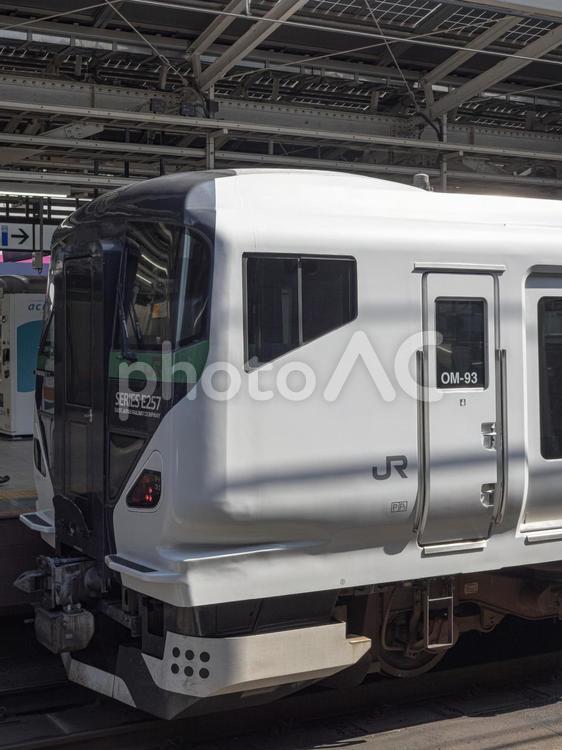 JR東日本E257系5000番台（先頭） e257系,5000番台,踊り子号の写真素材