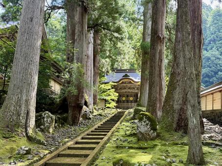 2025年夏の永平寺 2025年夏の永平寺 木陰,参道,永平寺の写真素材