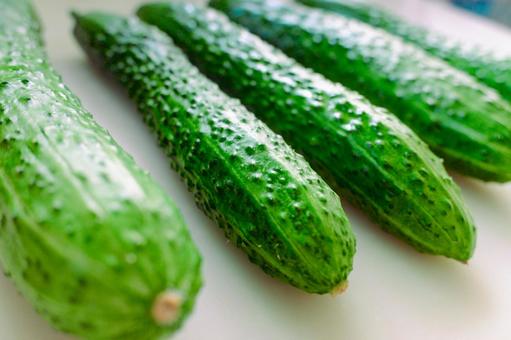 Cucumber with warts Close-up 3, JPG