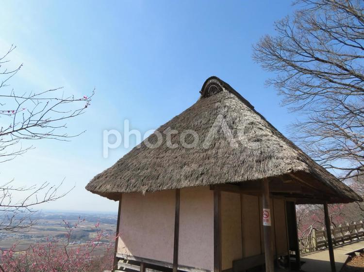 筑波山梅林のあずまや あずまや,休憩所,四阿の写真素材