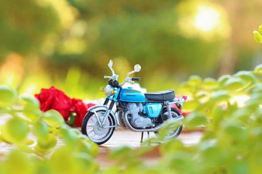 Bike weather, JPG Bike weather, погода на велосипеде, пришла весна., мотоцикл, JPG