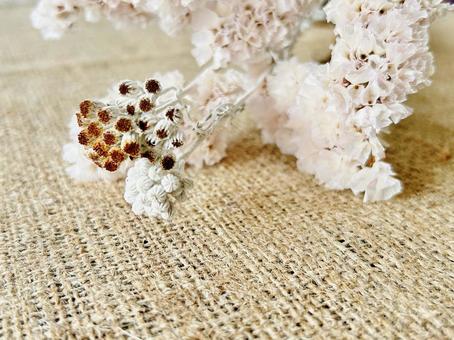 スターチスとシロタエギクのドライフラワーの写真