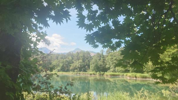 五色沼④_2025.08 五色沼④_2025.08 五色沼,夏,紅葉の写真素材