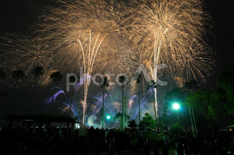 名古屋港水上芸術花火大会 名古屋港水上芸術花火大会,花火,花火大会の写真素材