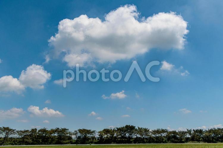 夏の青空と田園風景 夏空,素材,天気の写真素材
