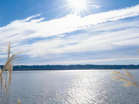 涸沼 秋,景色,涸沼の写真素材