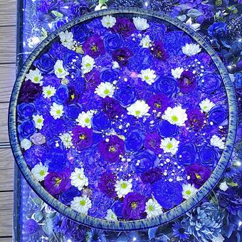 花手水 花手水 花手水,花,ガーデンの写真素材