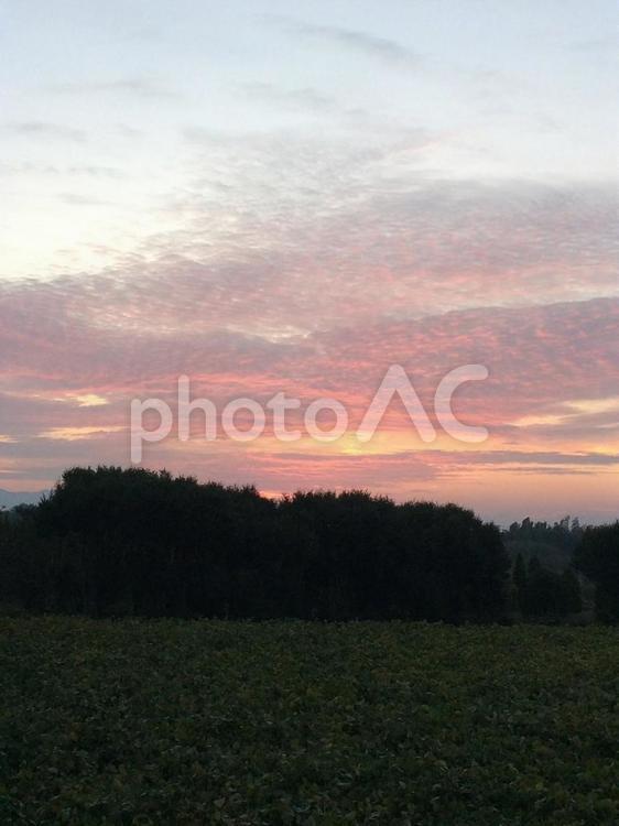 暮れゆく空 - 田園風景 夕焼け,夕日,夕空の写真素材