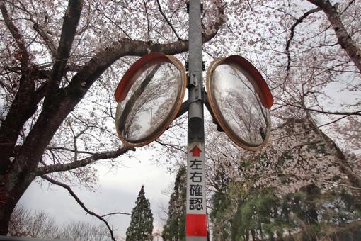 Sakura Convex Mirror, JPG Sakura Convex Mirror, JPG