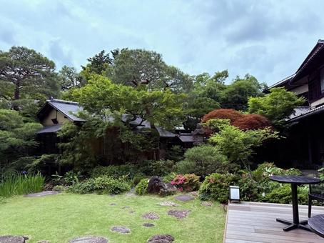 夏の日本庭園 夏の日本庭園 日本庭園,日本,京都の写真素材