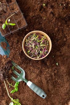 緑色のガーデンフォークと苗 緑色のガーデンフォークと苗 ガーデンフォーク,ハンドフォーク,育苗トレイの写真素材