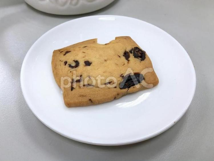 クランベリー手作りクッキー-手作りクッキー デザート,せんべい,アフタヌーンティーの写真素材