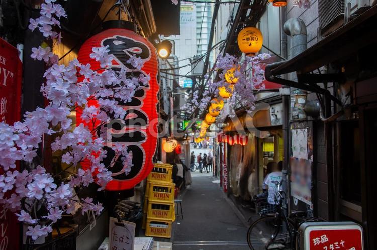 春の西新宿思い出横丁 西新宿,思い出横丁,路地裏の写真素材