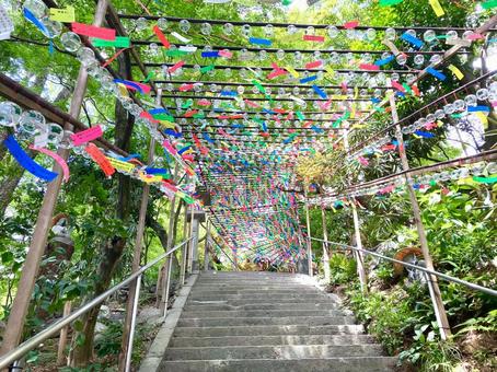 風鈴と石階段4 風鈴と石階段4 風鈴,かえる寺,如意輪寺の写真素材