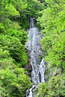 奄美大島風景~フナンギョの滝~ 奄美大島風景~フナンギョの滝~の写真