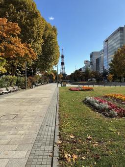 10月下旬の札幌大通公園西5丁目 札幌,大通公園,公園の写真素材