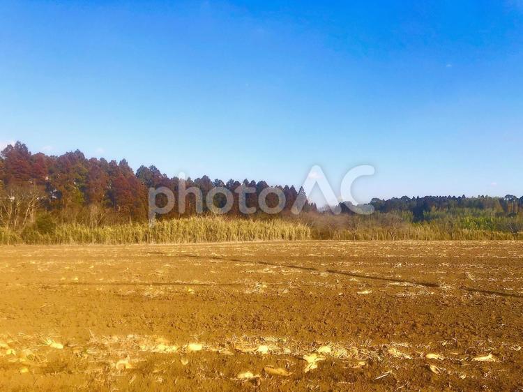 田舎の風景 自然,風景,景色の写真素材