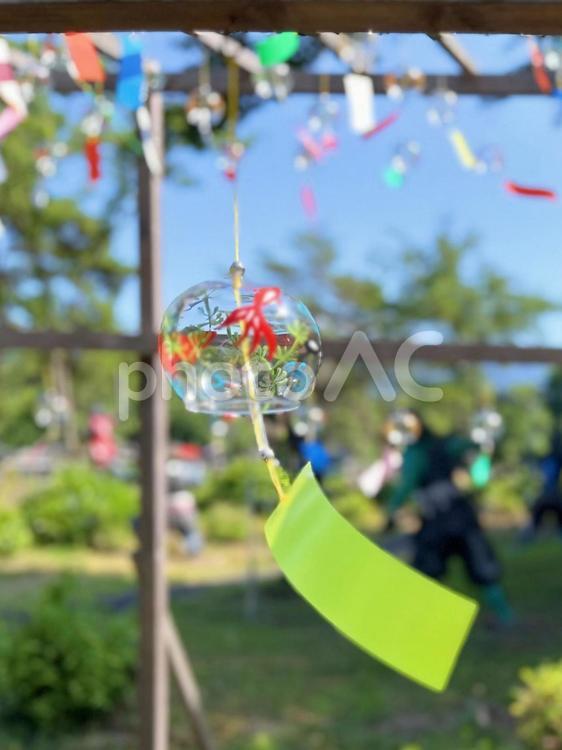 たなびく風鈴　夏 風鈴,夏,夏音の写真素材