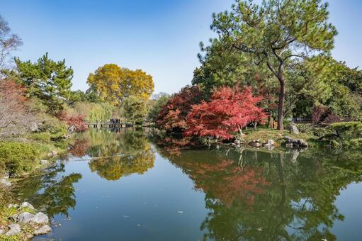 杭州・西湖 花港観魚 西湖,杭州,花港観魚の写真素材