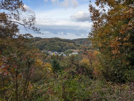 山登り 山登り,自然,木の写真素材