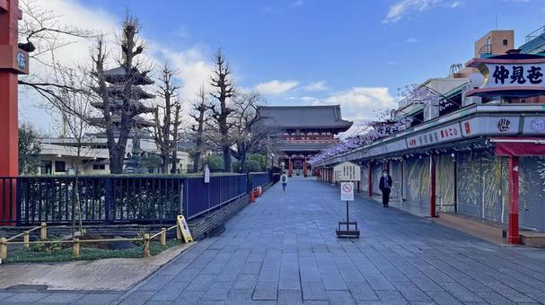 坂東33観音 13番 浅草寺 朝の仲見世 浅草寺,金龍山,仲見世通りの写真素材