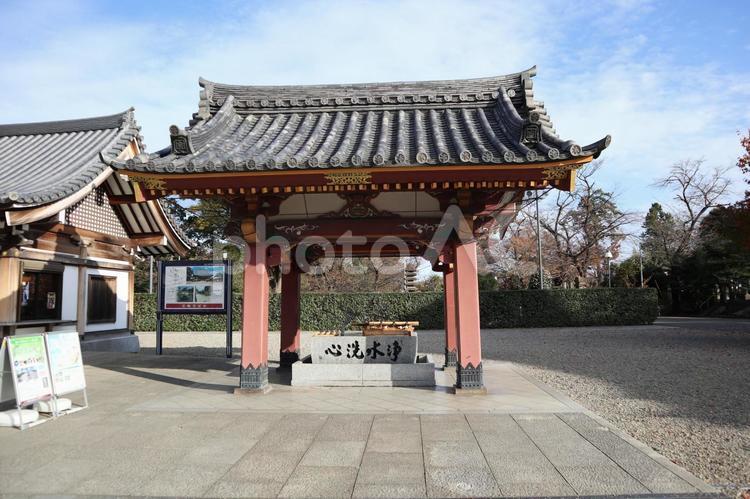 池上本門寺　手水舎 お清め,パワースポット,仁王門の写真素材