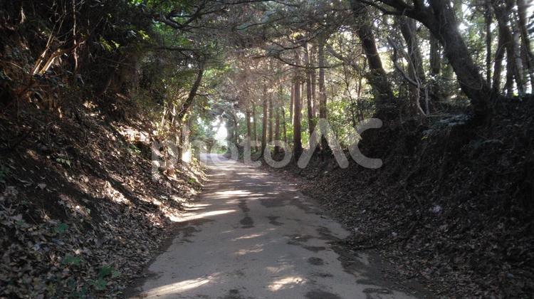 山道の木々のトンネル 山,トンネル,木の写真素材