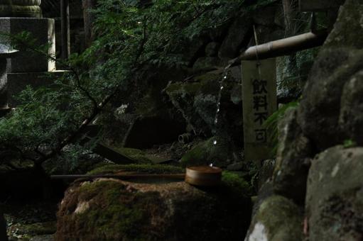神社です 神社ですの写真