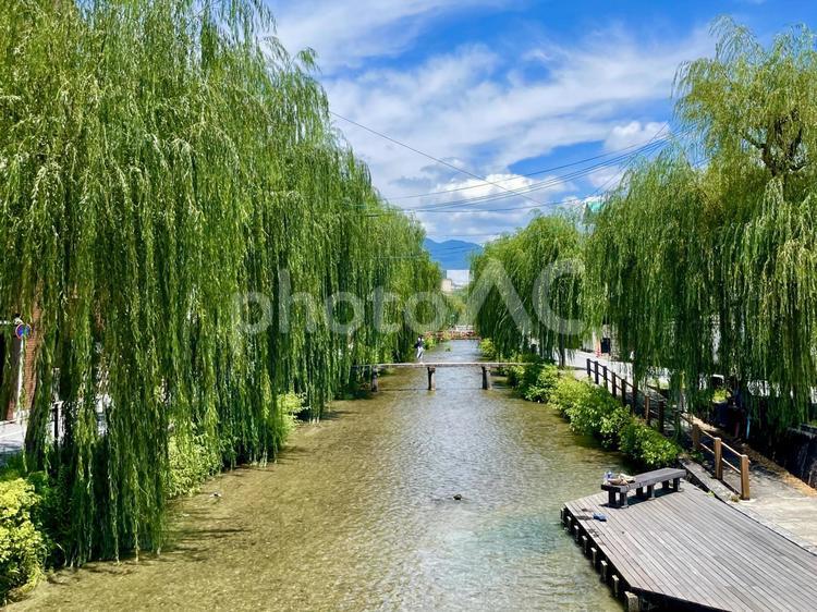 真夏の京都白川の流れ 白川,東山,京都市の写真素材