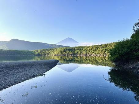 静かな朝の西湖と富士山 静かな朝の西湖と富士山 富士山,西湖,湖の写真素材