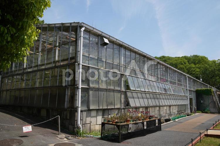 東山動植物園(温室後館) 東山動植物園(温室後館) 東山動植物園,温室後館,閉鎖の写真素材
