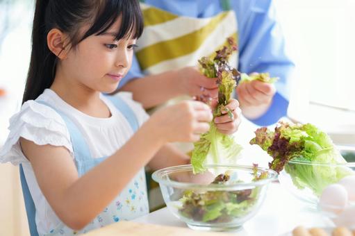 朝食の準備をする親子のクッキングシーン 女の子,サニーレタス,レタスの写真素材