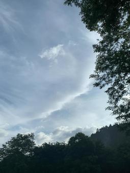 木々のシルエットと広がる雲の帯 木々のシルエットと広がる雲の帯の写真