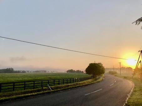 夕焼けロードの写真