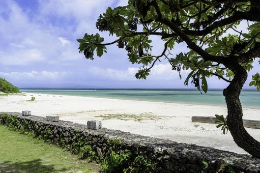 沖縄-【竹富島-竹富島の風景】 沖縄-【竹富島-竹富島の風景】 海,青,青空の写真素材