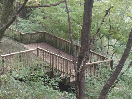 山の中の展望台1 山の中の展望台1 展望台,デッキ,山の写真素材