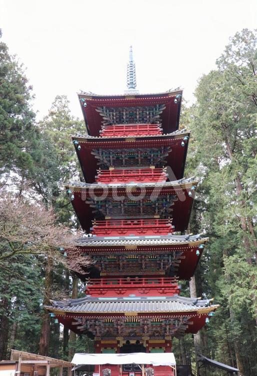 日光東照宮　五重塔 日光東照宮,五重塔,重要文化財の写真素材