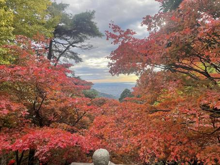 秋の紅葉 秋,あき,紅葉の写真素材