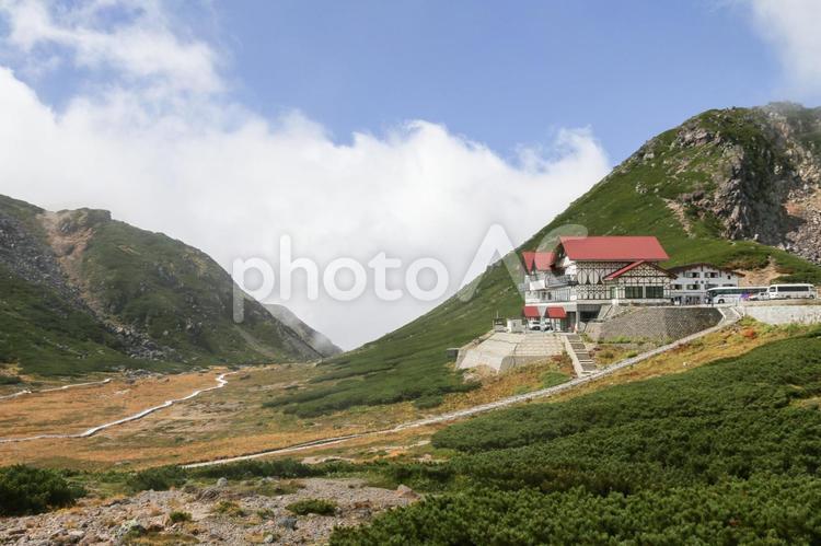 乗鞍岳・畳平・お花畑 乗鞍岳,畳平,北アルプスの写真素材