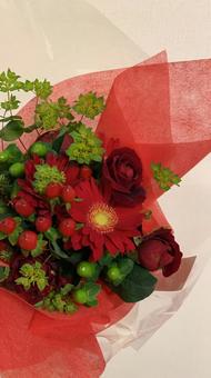 花 花の写真