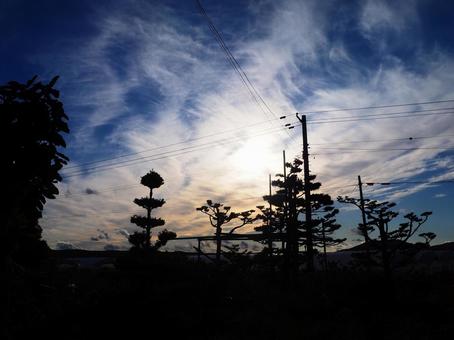 幻想的な空と木の影 幻想的な空と木の影の写真