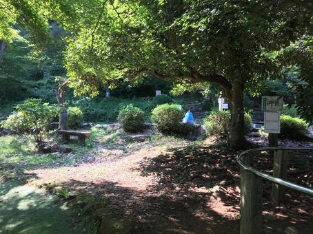 熱海姫の沢公園 熱海姫の沢公園 静岡,熱海,公園の写真素材