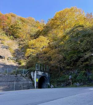 秋の山奥の道路　福井県大野市九頭竜川周辺 トンネル,道路,九頭竜湖の写真素材