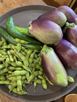 夏野菜 夏野菜 夏野菜,茄子,枝豆の写真素材